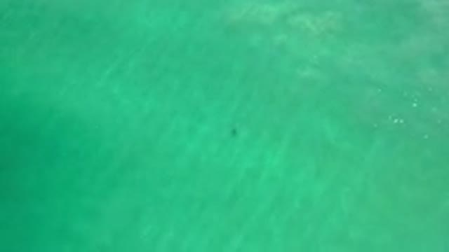LOS CABOS MEXICO-2020: Aerial Footage Of Green Looking Water With No Plants
