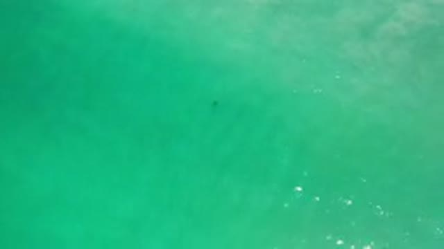 LOS CABOS MEXICO-2020: Small Sea Weave With Beautiful Green And Clear Water