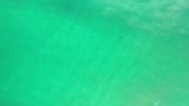 LOS CABOS MEXICO-2020: Unknown Object Submerged Beneath Calm Green Ocean Water
