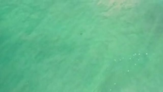 LOS CABOS MEXICO-2020: View Of An Ocean Shore With A Wave Crashing Down