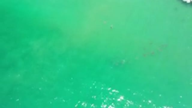 LOS CABOS MEXICO-2020: Drone Shot In The Middle Of The Clear Green Ocean