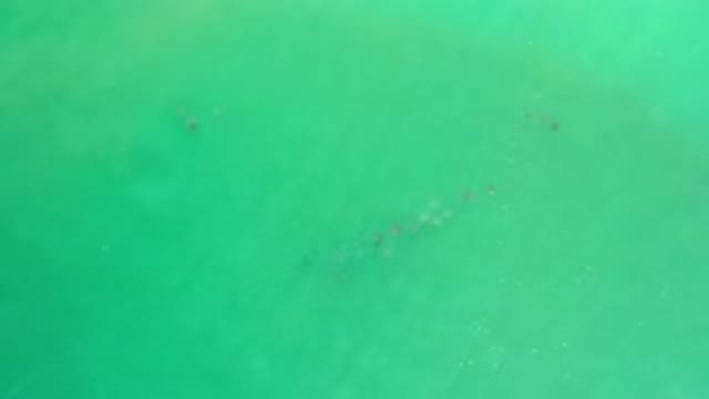 LOS CABOS MEXICO-2020: Large Aerial Photo Of Greenish Blue Water