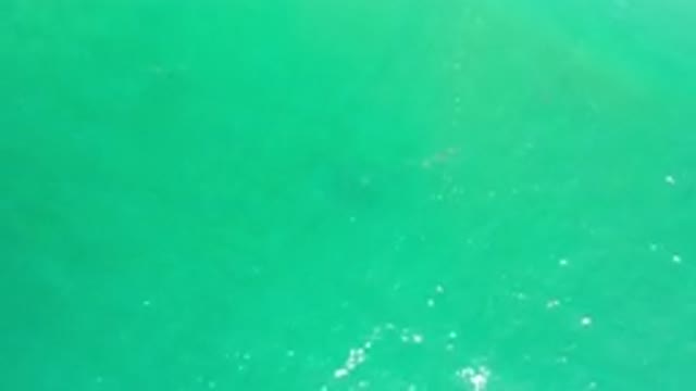 LOS CABOS MEXICO-2020: Aerial View Of Ember Green Waters Of Los Cabos Mexico