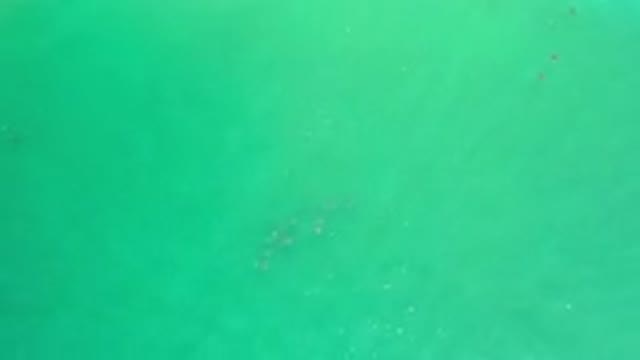 LOS CABOS MEXICO-2020: The Top View Of The Wave Less Silent Blue Beach