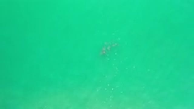 LOS CABOS MEXICO-2020: An Amazing View of A Turquoise Green Sea That Makes You