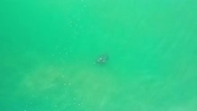 LOS CABOS MEXICO-2020: Green Water Flowing Over A Dark Object In The Ocean