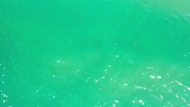 LOS CABOS MEXICO-2020: Waves In The Middle Of An Endless Blue Sunlit Sea