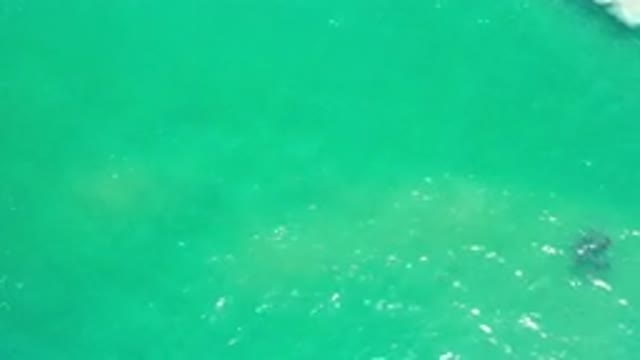 LOS CABOS MEXICO-2020: Aerial Footage Of A Beautiful Deep Green Ocean In Mexico
