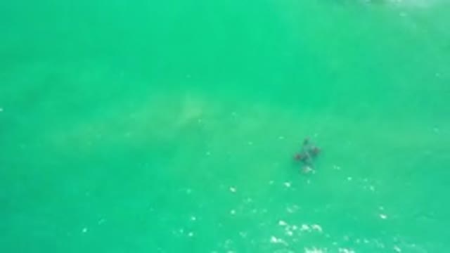 LOS CABOS MEXICO-2020: Beautiful Aerial Footage Of Water