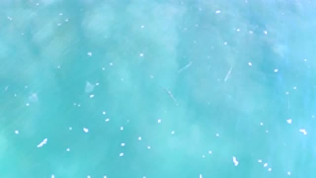 LOS CABOS MEXICO-2020: Marine Blue Wave Dotted With Sea Foam Ripples Gently