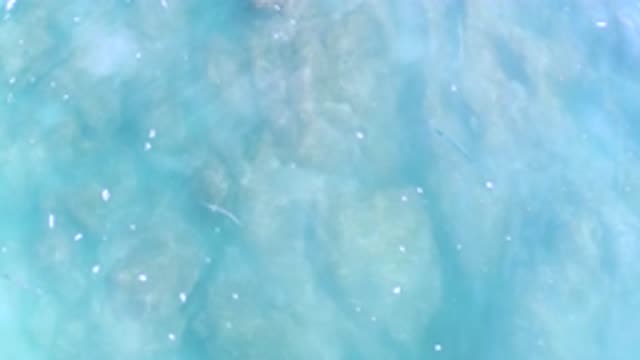 LOS CABOS MEXICO-2020: When Looking Down The Water Is Blue And Almost See