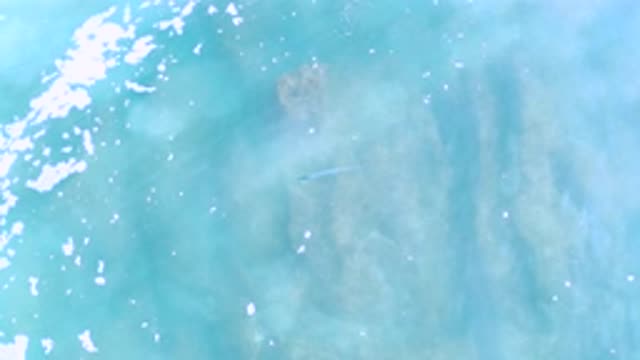 LOS CABOS MEXICO-2020: Waves Forming On An Ocean Near The Shore With Fish