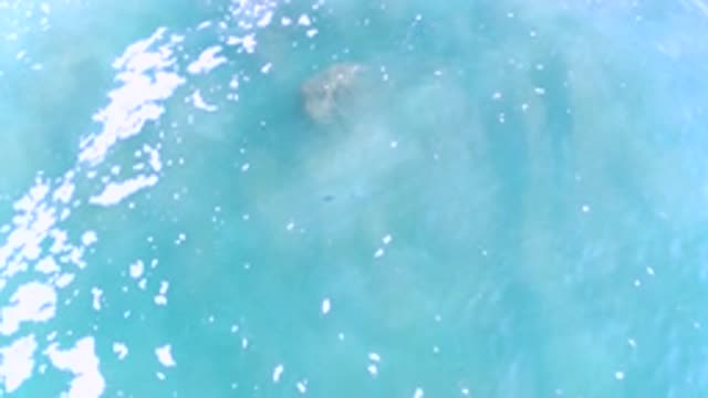 LOS CABOS MEXICO-2020: Clear Blue Ocean Waves With White Foam And Brown Corals