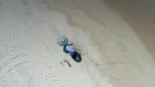 LOS CABOS MEXICO-2020: Drone View Of A Person And Their Dogs Relaxing And Playing