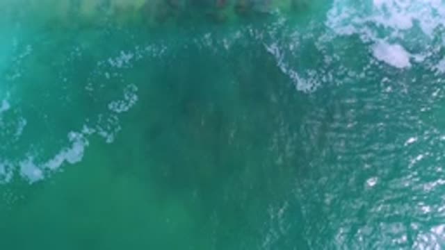 LOS CABOS MEXICO-2020: My Favorite Top Ocean View