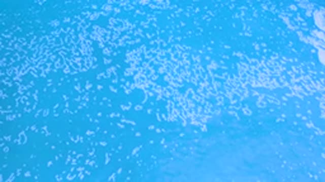 LOS CABOS MEXICO-2020: Zooming In On White Substance Floating On Top Of Blue