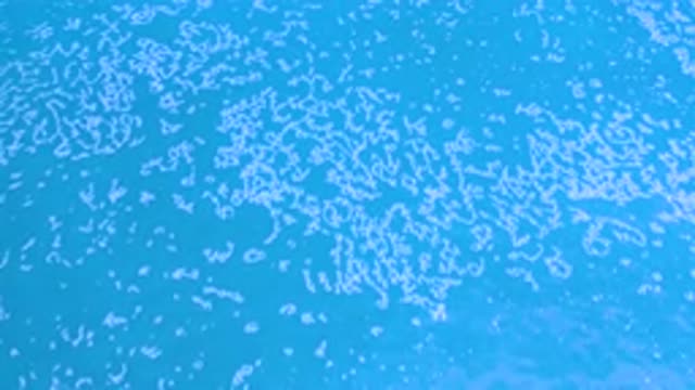 LOS CABOS MEXICO-2020: Calm Blue Sea Covered in Sea Foam from Crashing Waves