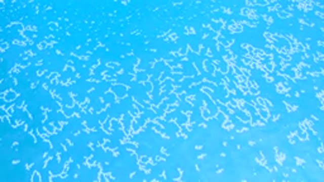 LOS CABOS MEXICO-2020: Blue And Crystalline Sea Waves Broke On The Coast And
