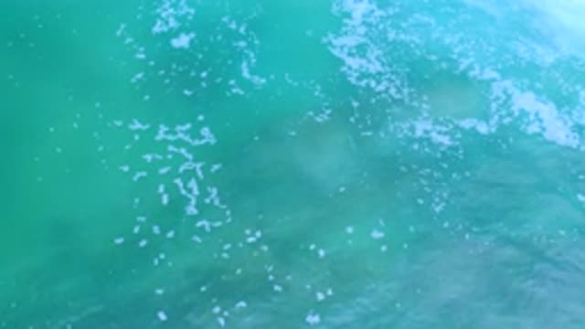 LOS CABOS MEXICO-2020: Green Color Water With White Bubbles And Light Waves On