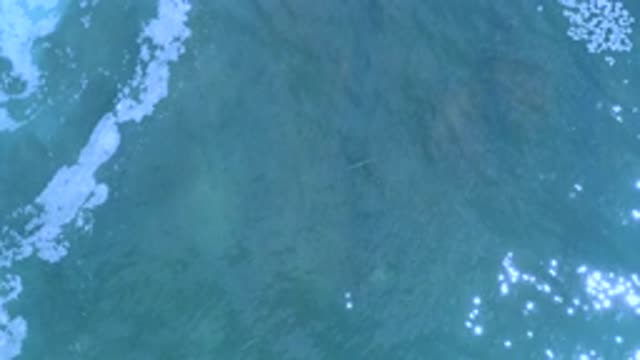 LOS CABOS MEXICO-2020: Perfect Ocean With Beautiful Waves