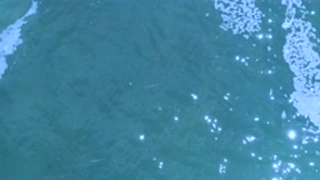 LOS CABOS MEXICO-2020: Tranquil Waters of a Beautiful Blue Ocean