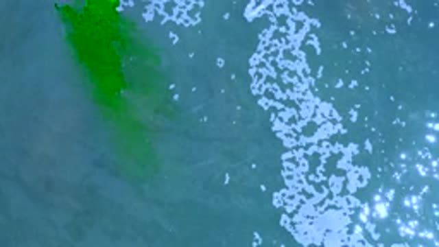 LOS CABOS MEXICO-2020: Blue Water Movement With A Mysterious Green Flash That