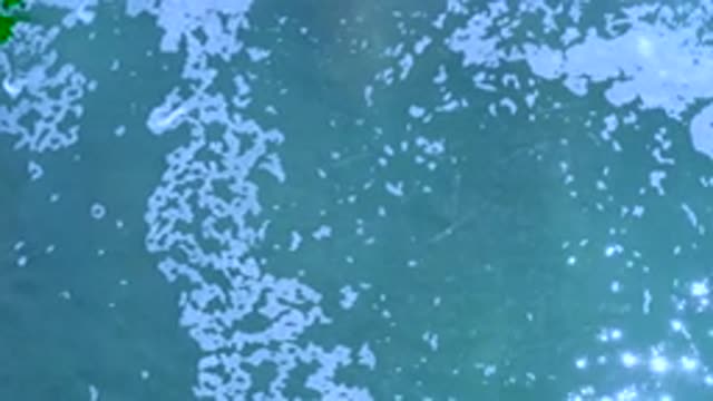 LOS CABOS MEXICO-2020: Into The Deep Unknown