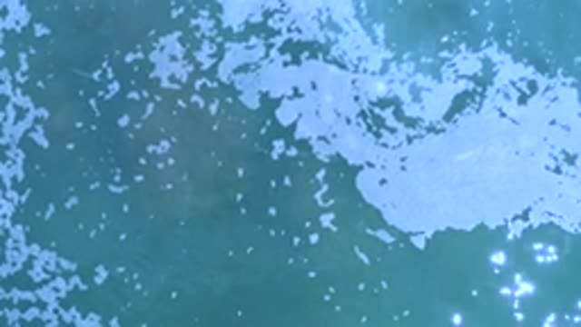 LOS CABOS MEXICO-2020: White Foams Appearing On A Blue Sea During A Sunny Warm Day