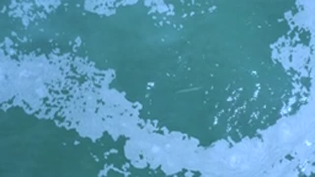 M11-20-0588-07-04-20-2020-los-cabos-mexico-DJI_0385_0004_11_21_0001.mp4
