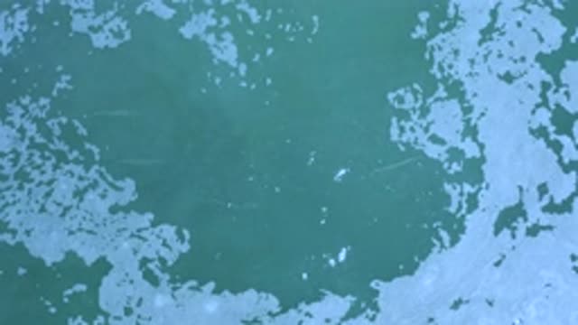 LOS CABOS MEXICO-2020: Closeup Of Foamy Waters In The Middle Of A Teal Ocean