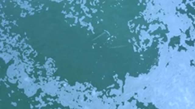 LOS CABOS MEXICO-2020: Sun Glistening in the Foamy Green Water During the Day
