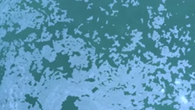 LOS CABOS MEXICO-2020: Clear Water With White Particles Floating