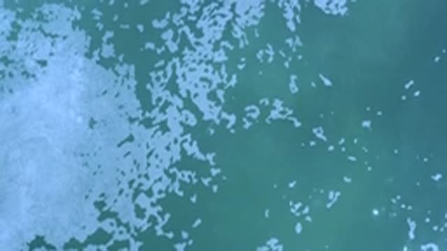 LOS CABOS MEXICO-2020: Sea Foam On The Water
