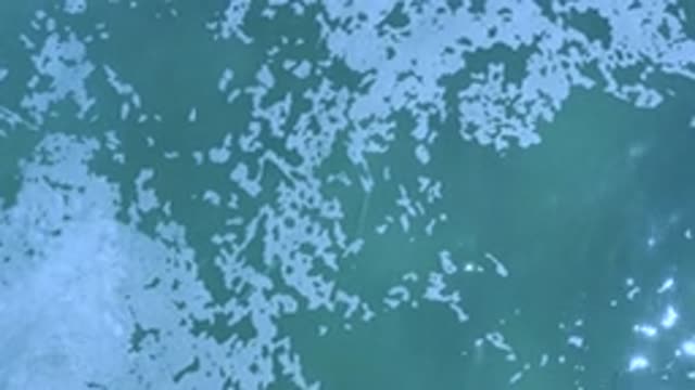 LOS CABOS MEXICO-2020: Looking At The Water With Something White Floating In