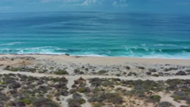 LOS CABOS MEXICO-2020: Journey Along The Coast