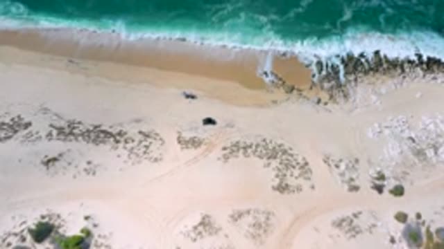 LOS CABOS MEXICO-2020: Watching The Wonder Of The Coasts