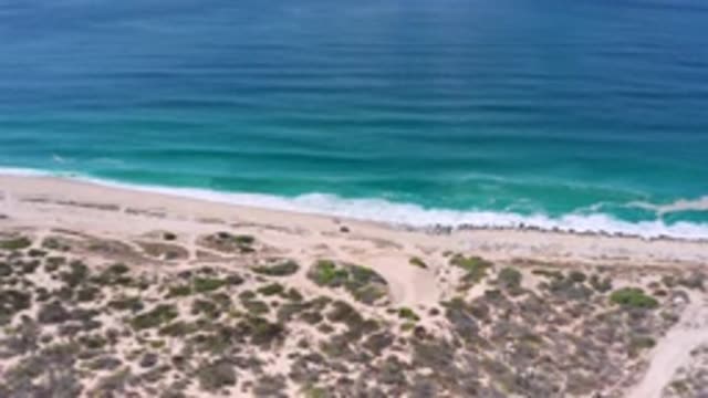 LOS CABOS MEXICO-2020: Fruit Growing In The Wild
