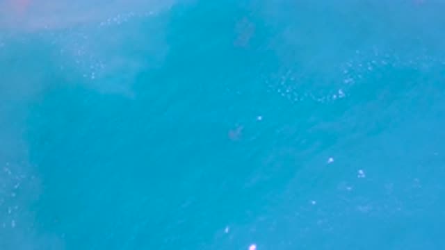 LOS CABOS MEXICO-2020: Clear Blue Ocean Shimmering in the Distance as We Look On