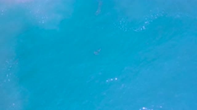 LOS CABOS MEXICO-2020: Blue Ocean Water