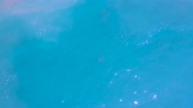LOS CABOS MEXICO-2020: Bright Blue Vast Ocean Sparkling On A Clear Sunny Day