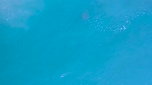 LOS CABOS MEXICO-2020: Water With A Gentle Tide Transmitting A Lot Of Calm