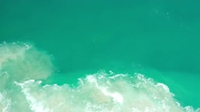 LOS CABOS MEXICO-2020: The View Of A Beautiful Coral Reef In The Middle Of The