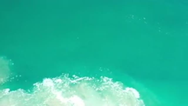 LOS CABOS MEXICO-2020: Bubbling Tropical Sea
