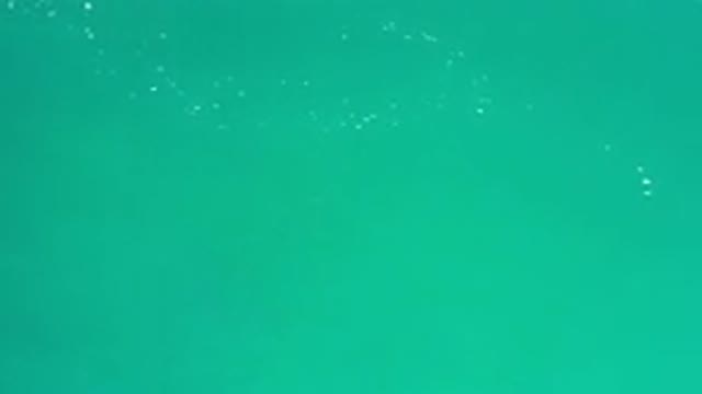 LOS CABOS MEXICO-2020: Blue Green Sky Roaming Through The Milky Way And The Stars