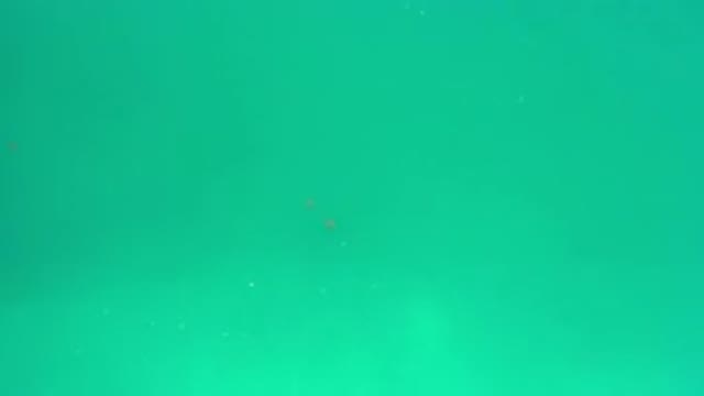 LOS CABOS MEXICO-2020: View Of Very Calm Green Sea Waters On A Bright Day