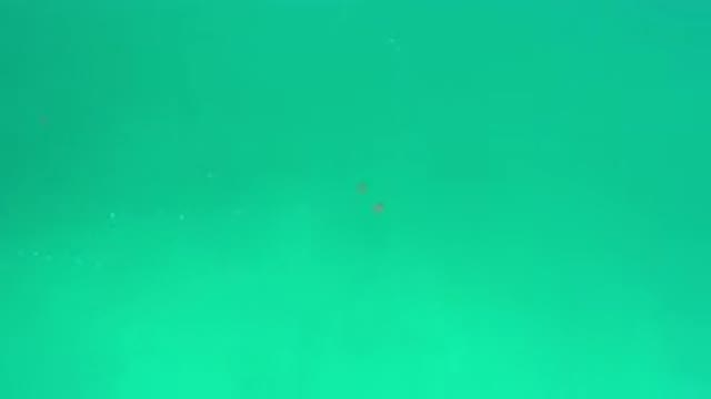 LOS CABOS MEXICO-2020: A Screen Full Of Teal Color Fill Your Computer Screen