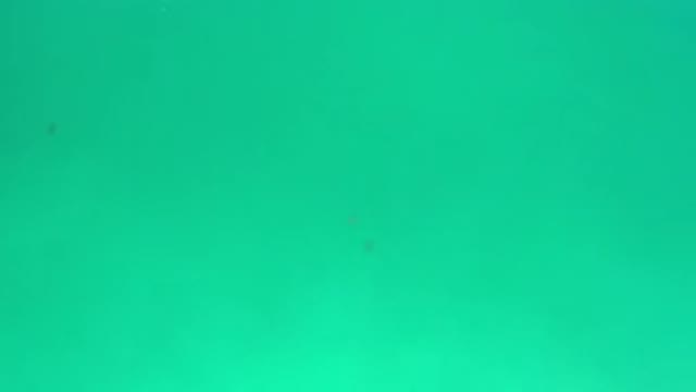LOS CABOS MEXICO-2020: Infinite Blue Green Water With Two Black Dots That Looks