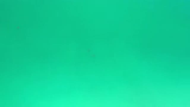 LOS CABOS MEXICO-2020: At Sea The Waters With A Shade Of Persian Green Color And