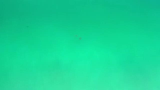 LOS CABOS MEXICO-2020: Close-Up Of Clean Crystal Clear Sea Water In A Crayola