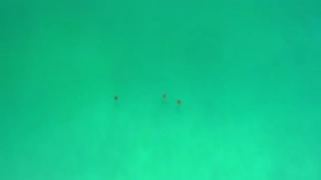 LOS CABOS MEXICO-2020: Three Black Dots Floating Above Endless Blue Ocean